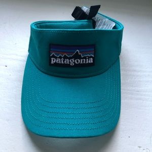 Patagonia Visor
